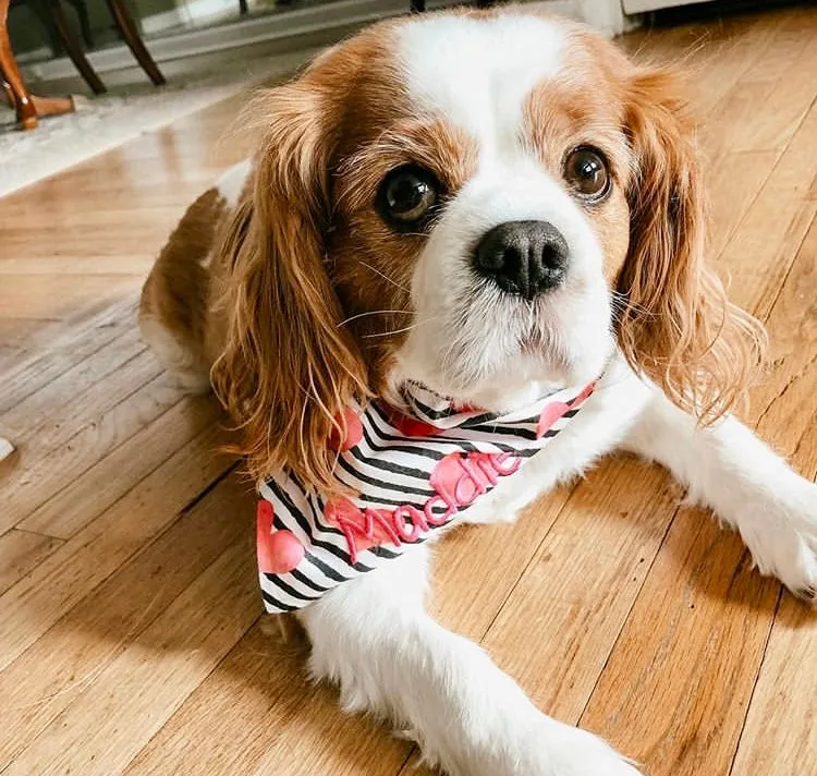 Peace, Love and Valentine's Day Custom Embroidered Bandanas